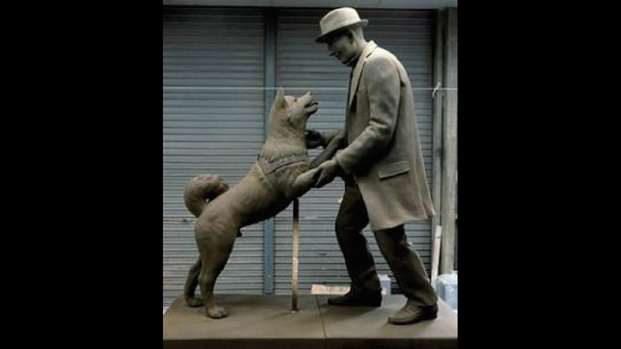 Hachiko
