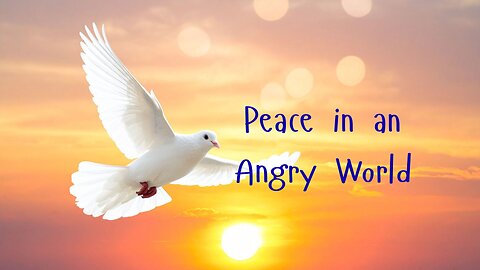 Peace in an Angry World ~ Messages from Ann & the Angels - 09/13/2025