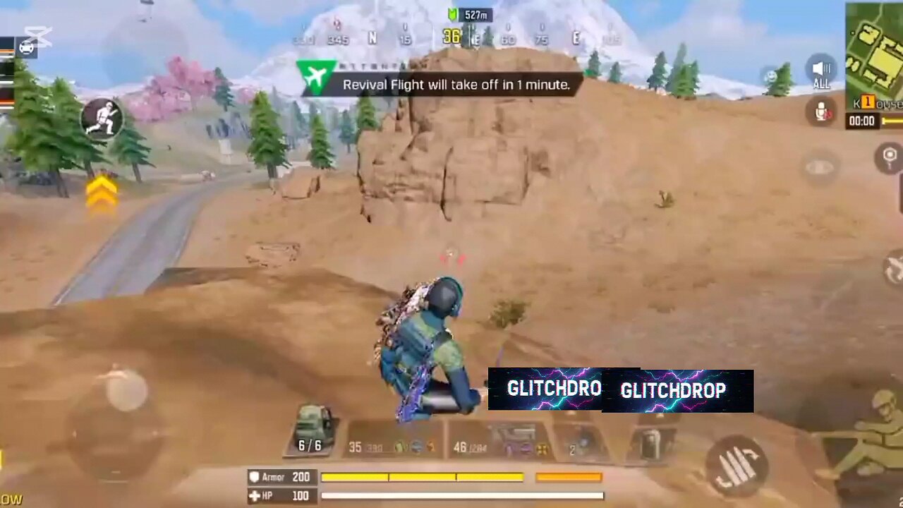 Call of duty mobie survivor style