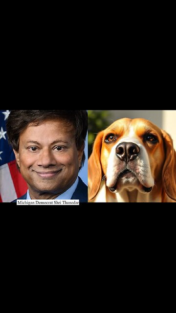 MI DEM Left 118 Beagles in Lab to Starve - Leads Trump Impeachment Push ~ Victor