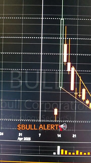 $BULL ALERT📢