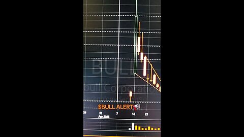 $BULL ALERT📢