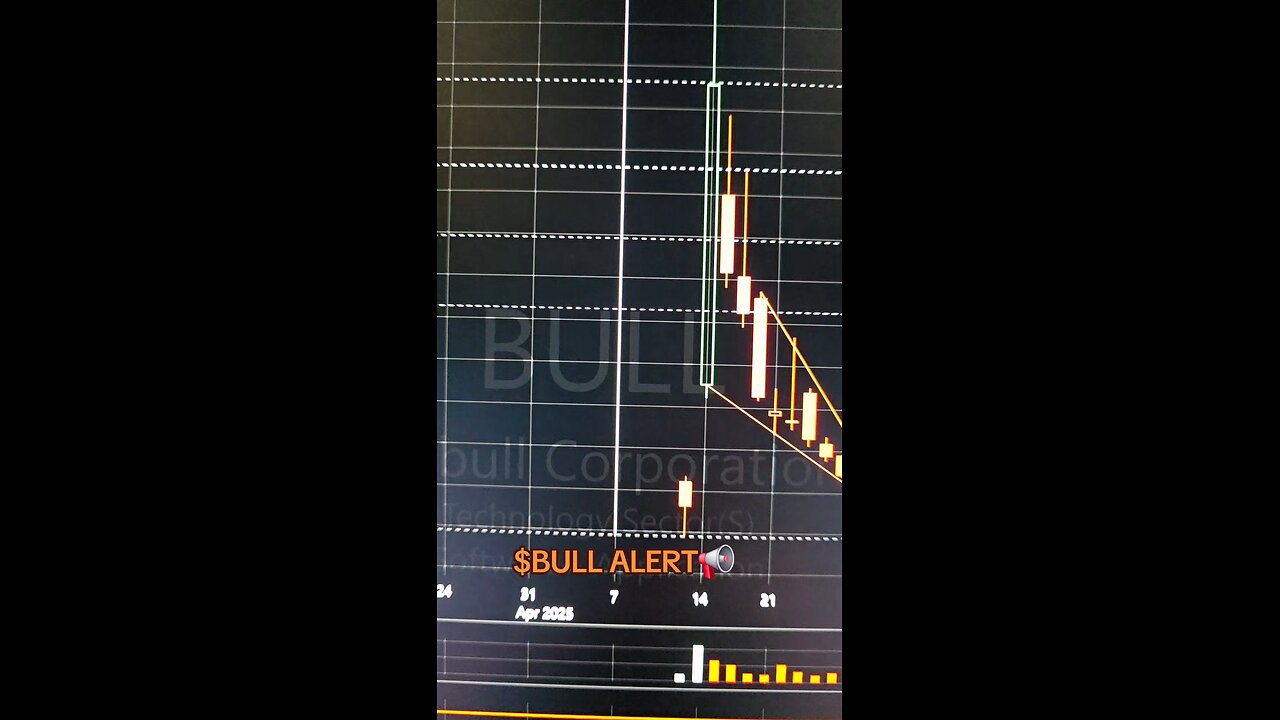 $BULL ALERT📢