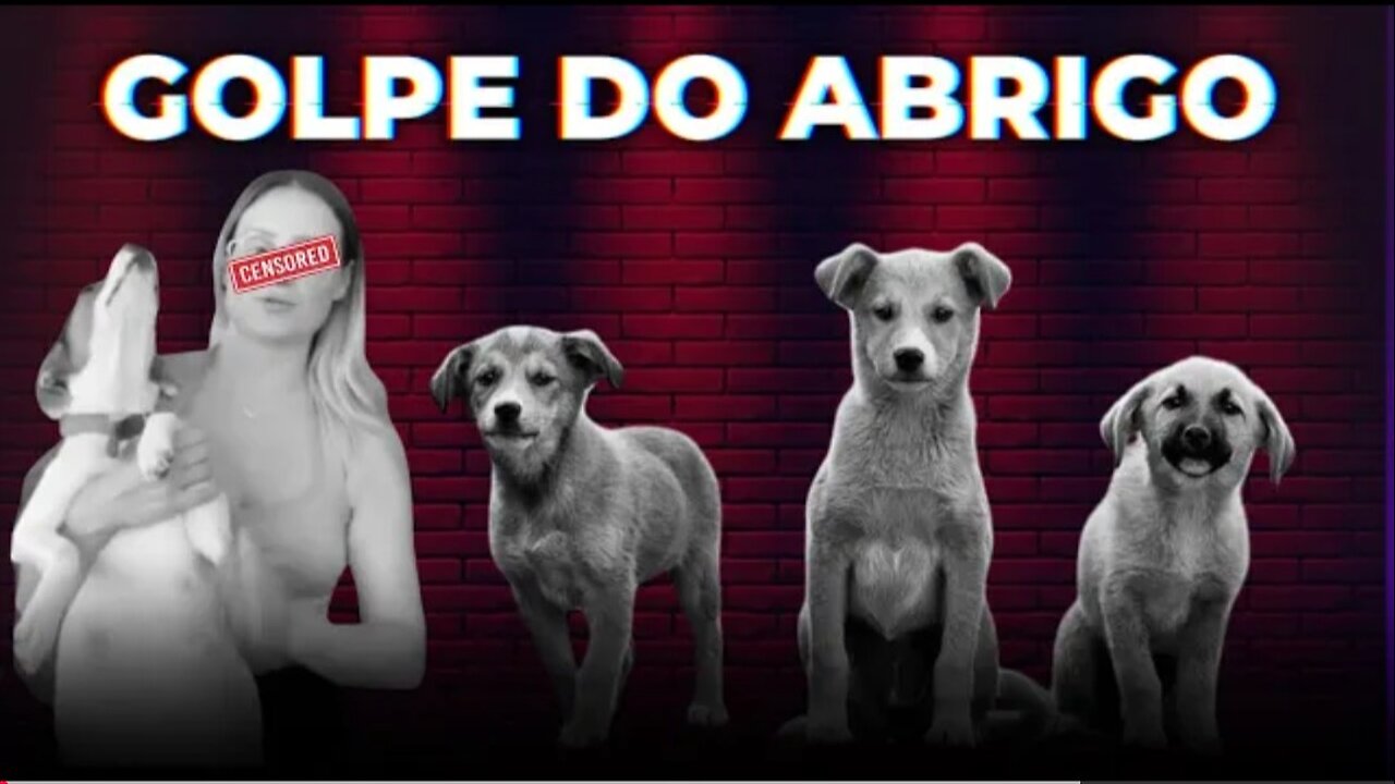 GOLPE do Abrigo de Animais Patinhas do Bem Rolando Solto no YouTube