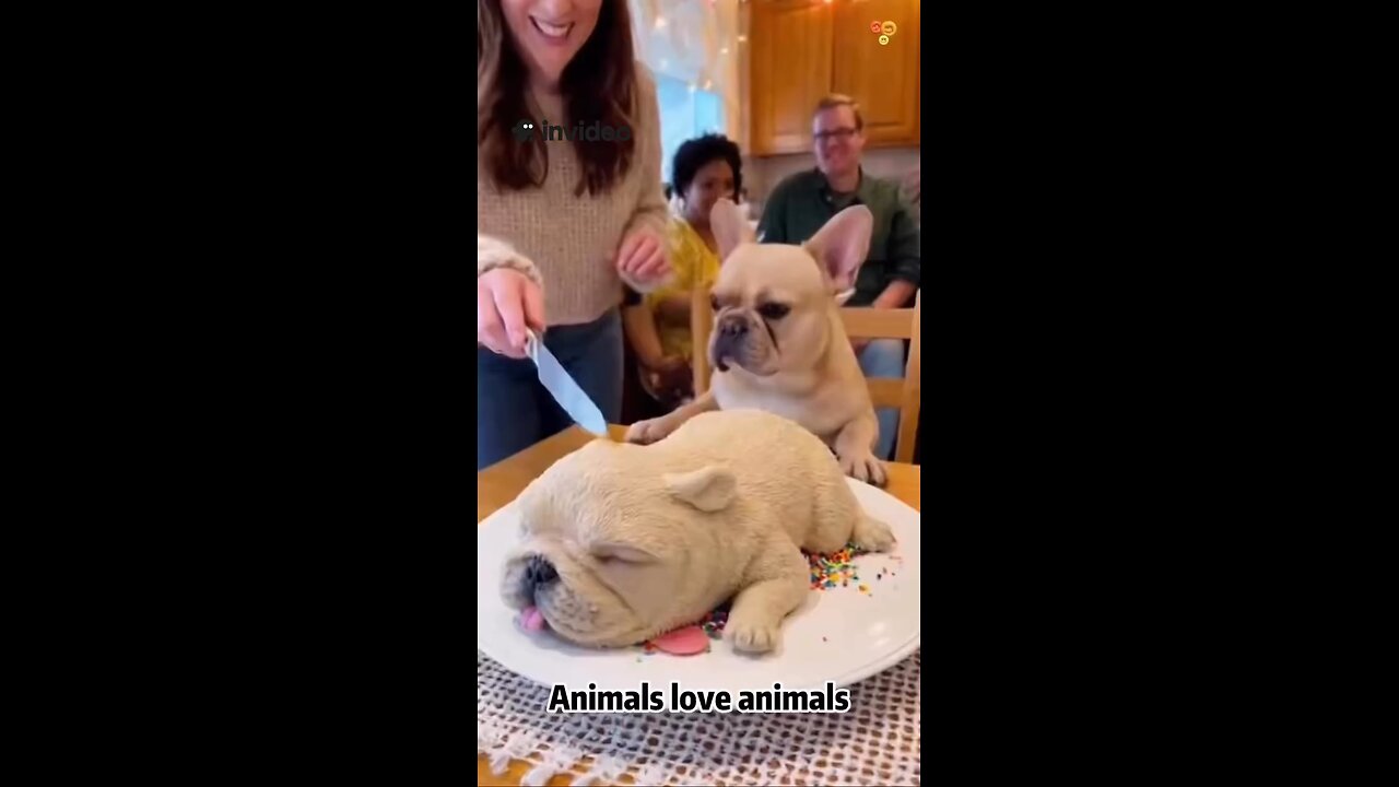 When your cake looks a little too real 😂🐶🦜 Made using @InVideoAI #InVideoAI #FYP #USA