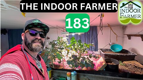 The Indoor Farmer ep 183, I Added Some Ladybugs & Praying Mantis Eggs, Let's Grow