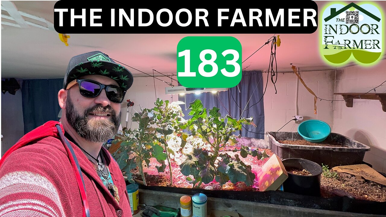 The Indoor Farmer ep 183, I Added Some Ladybugs & Praying Mantis Eggs, Let's Grow