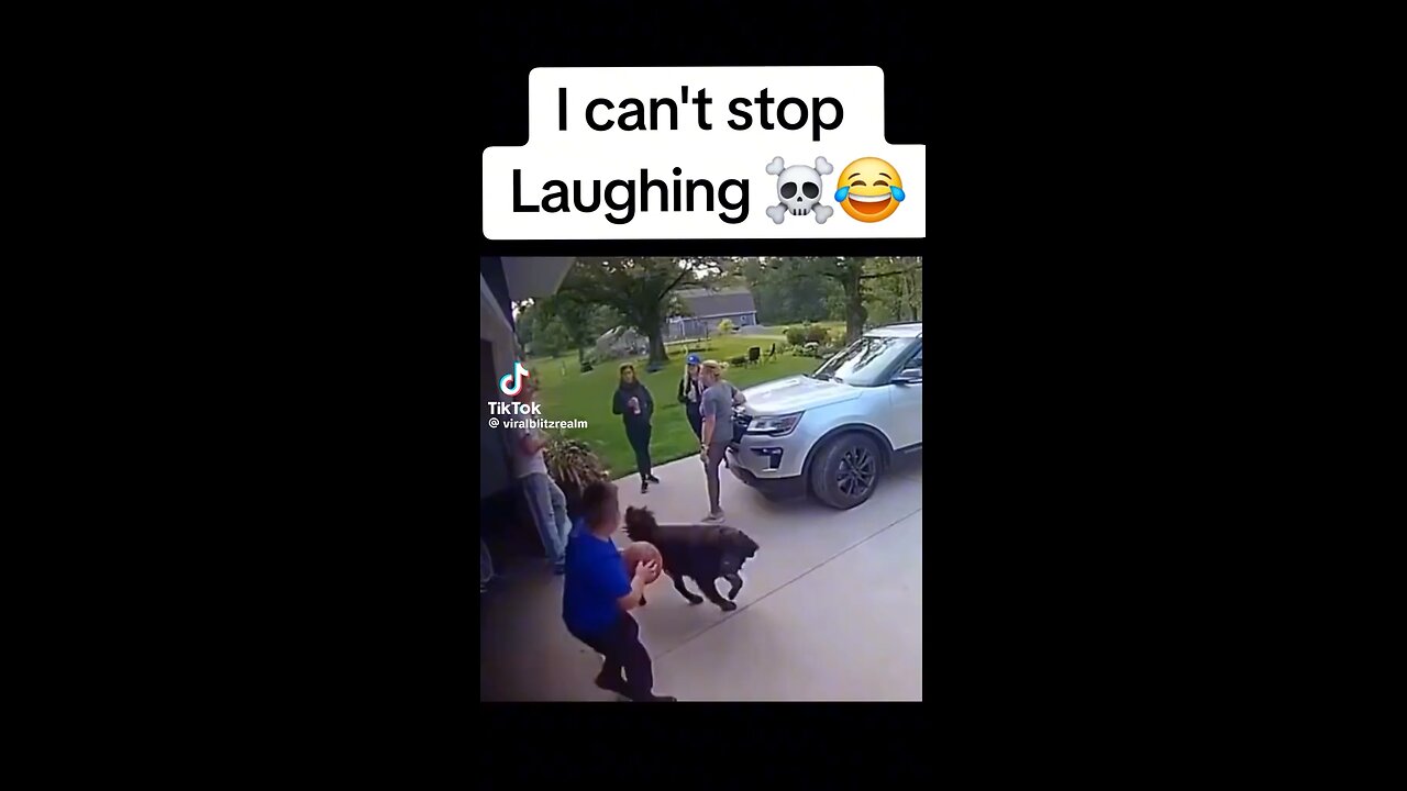 Like if you laugh! Pt.2