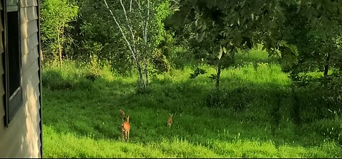 Mom and Twins