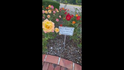 🥀🌹 Fayetteville, NC Rose Garden