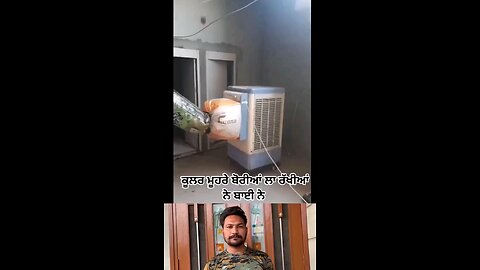 satisfying Video