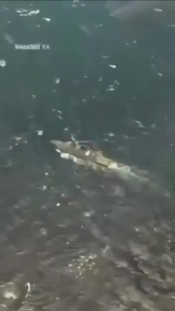 Two Venezuelan F-16s Approach U.S. Destroyer USS Jason Dunham in Caribbean Sea