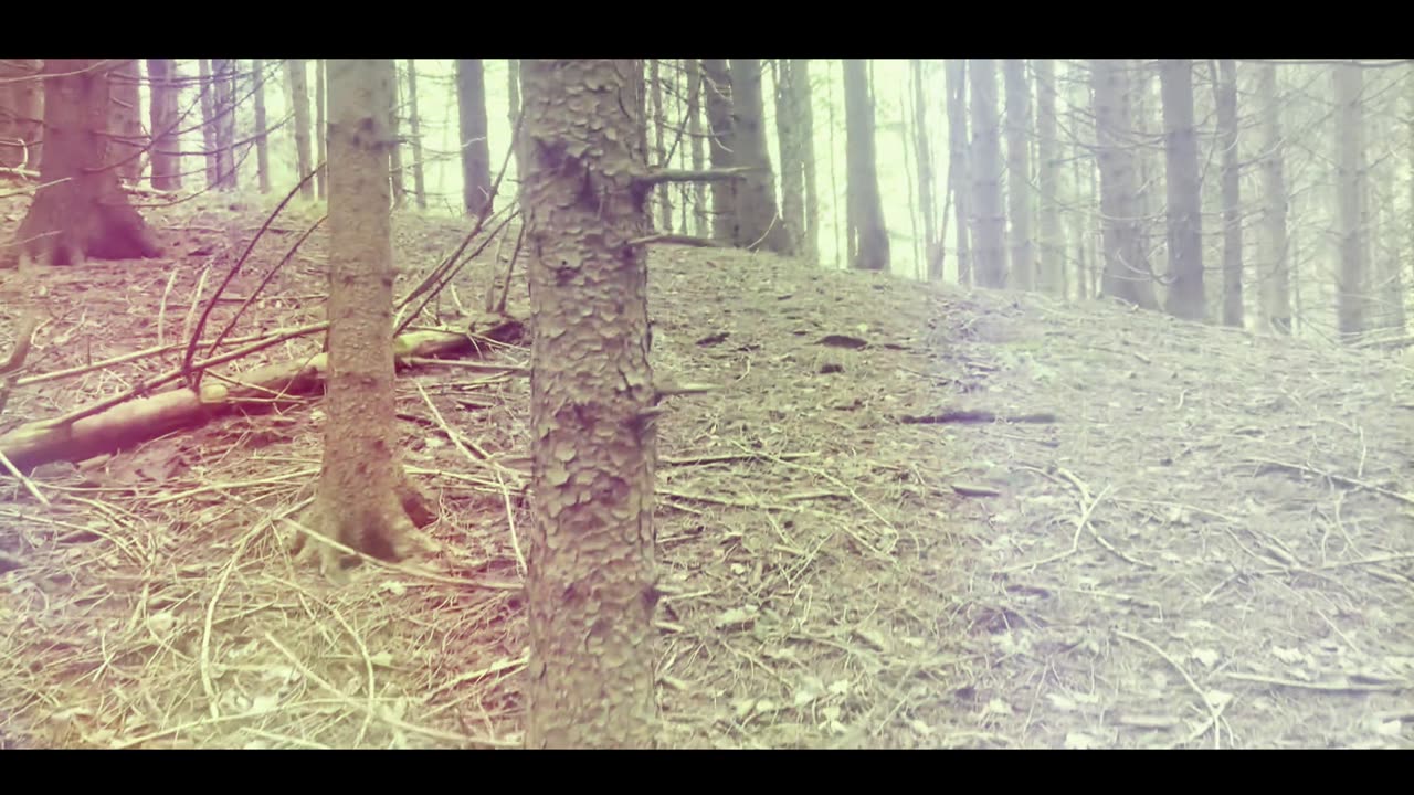 Scars Of Two Broken Hearts (Official Music Video)