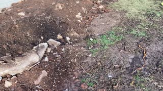 West Wall Trim Ready