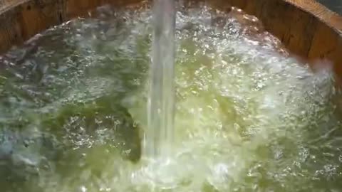 seafood noodles