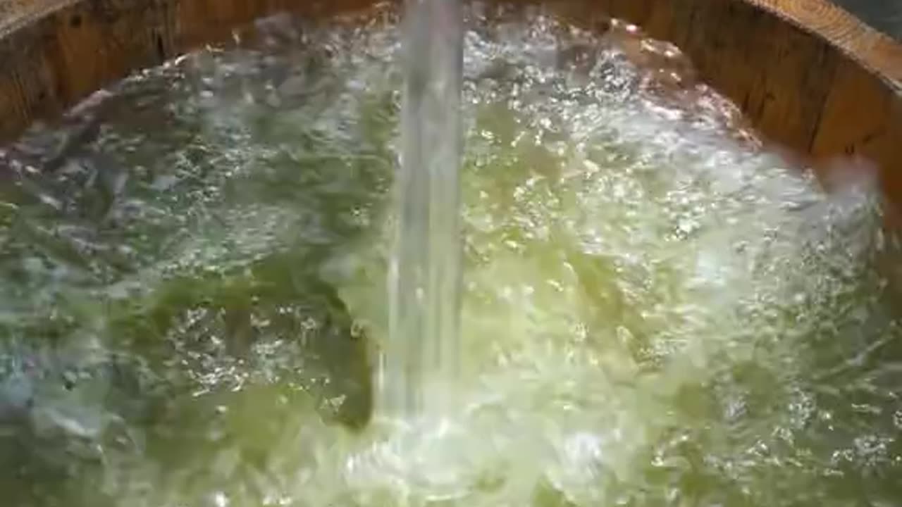 seafood noodles