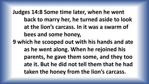 Living Hope Today Studies + Church Worship Services