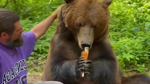 Man Befriends a Wild Black Bear