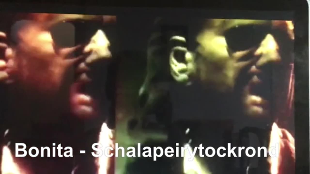 Bonita - Schalapeirytockrond