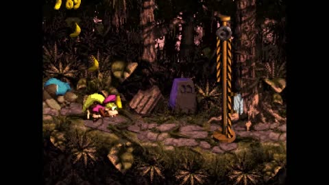 Donkey Kong Country 3 - Part 40