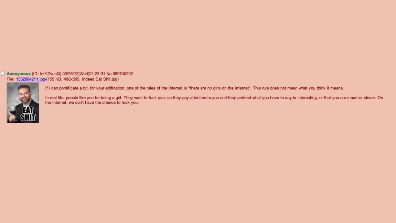 There are no girls on the internet - 4chan