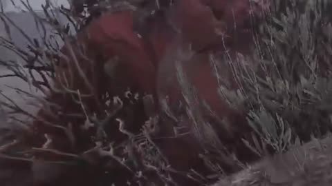 ArcRaiders - funny slide death