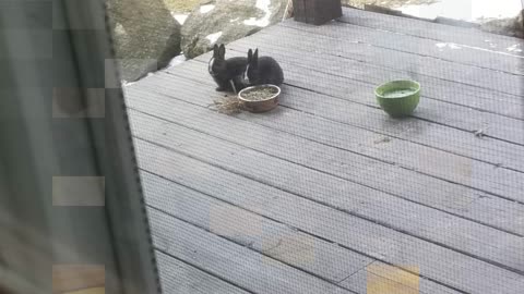 The well on the farm is not haunted and feeding the void swarm is definitely not an exorcism ritual.