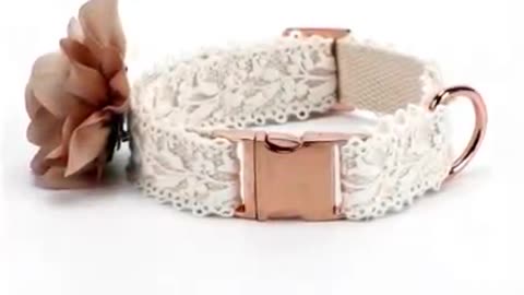 Stylish Dog Collar with Flower for Chic Pups: Lace Dog Collars