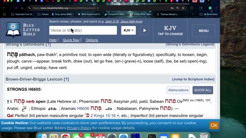 6/20/25 Rev 1:4-Who will reign with CHRIST as kings and priests during the millennial reign?