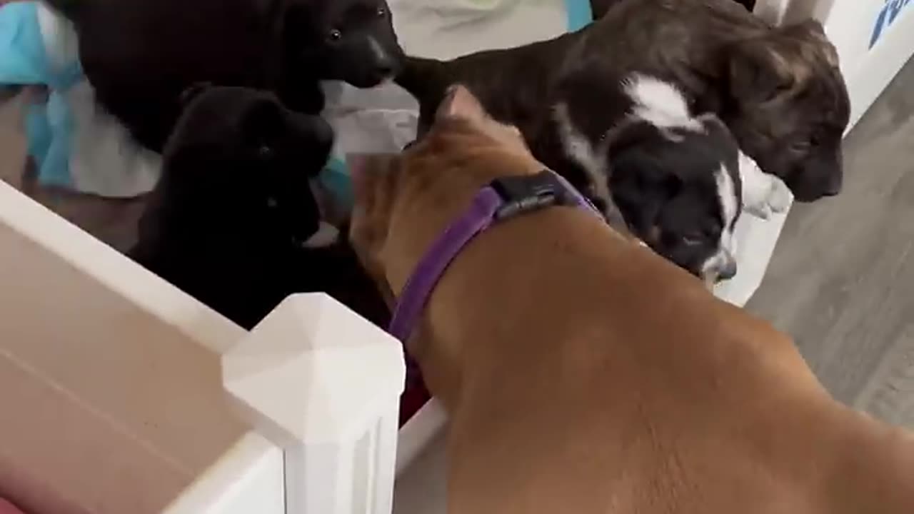 So cute!!!!