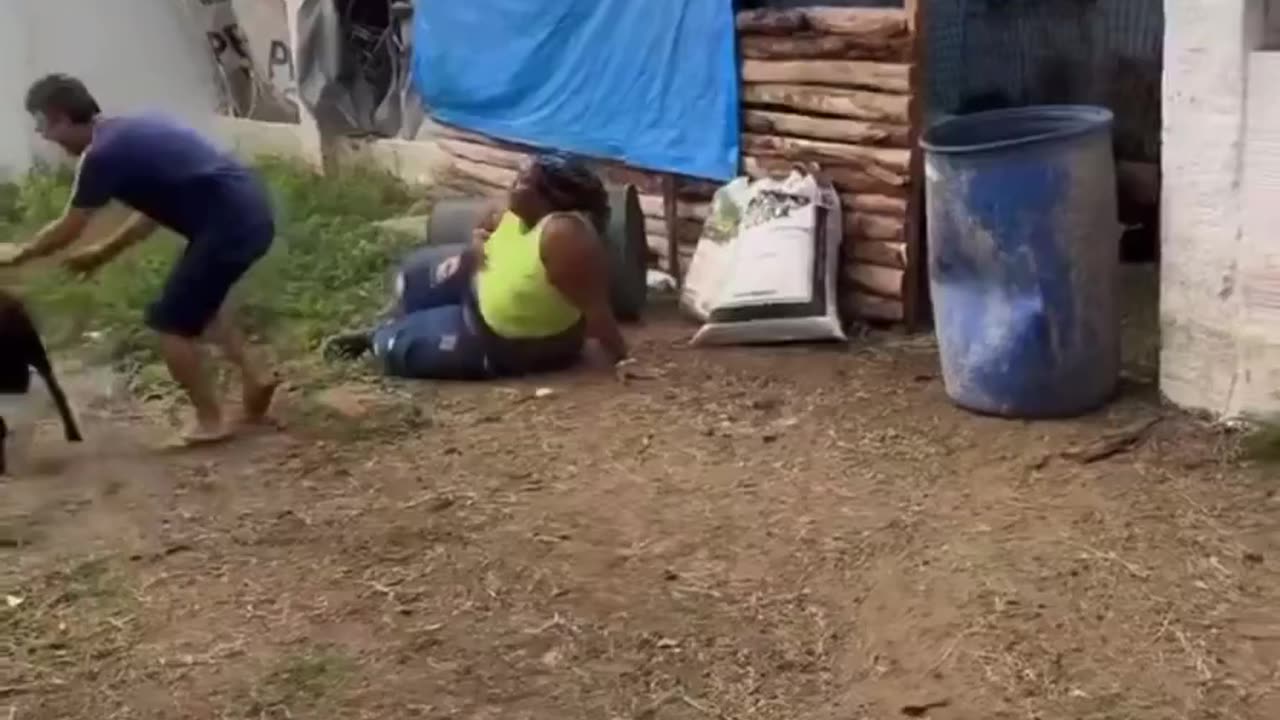 Goat Attacks Hippos