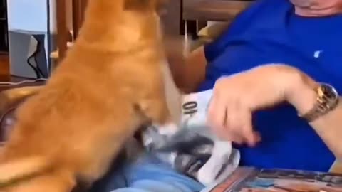 😍 This is so beautiful, they are so cute! | FunFM