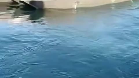 It's simply amazing to watch these guys prepare their fleet for deep sea fishing