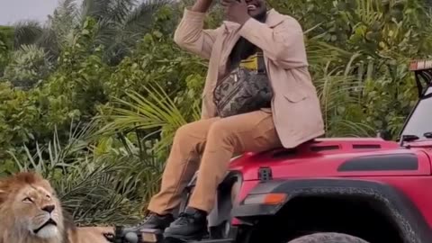 Forest king on ground show and man seen and feeling well 