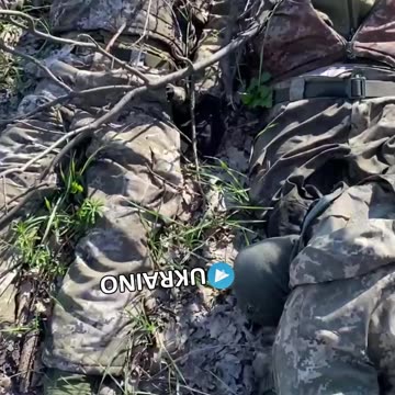 Another bunch of heroes died for Snow White