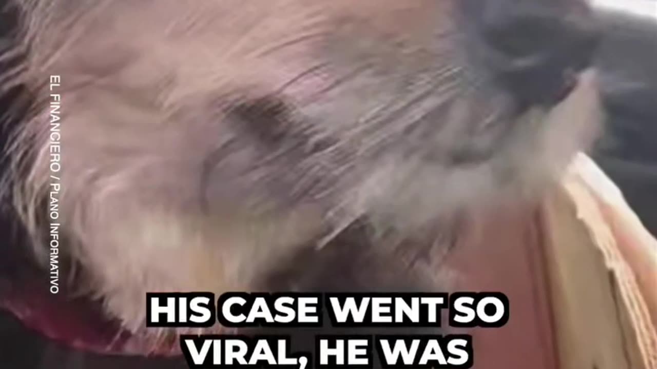 Unbelievable Theft went Viral all over the world