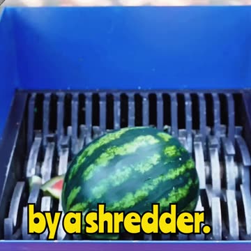 Satisfying Watermelon Shred Too Good to Look Away