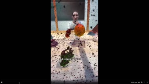 This guy makes a fortune by having flies - yes flies - paint. Read below the vid!