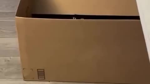 Stranger Danger