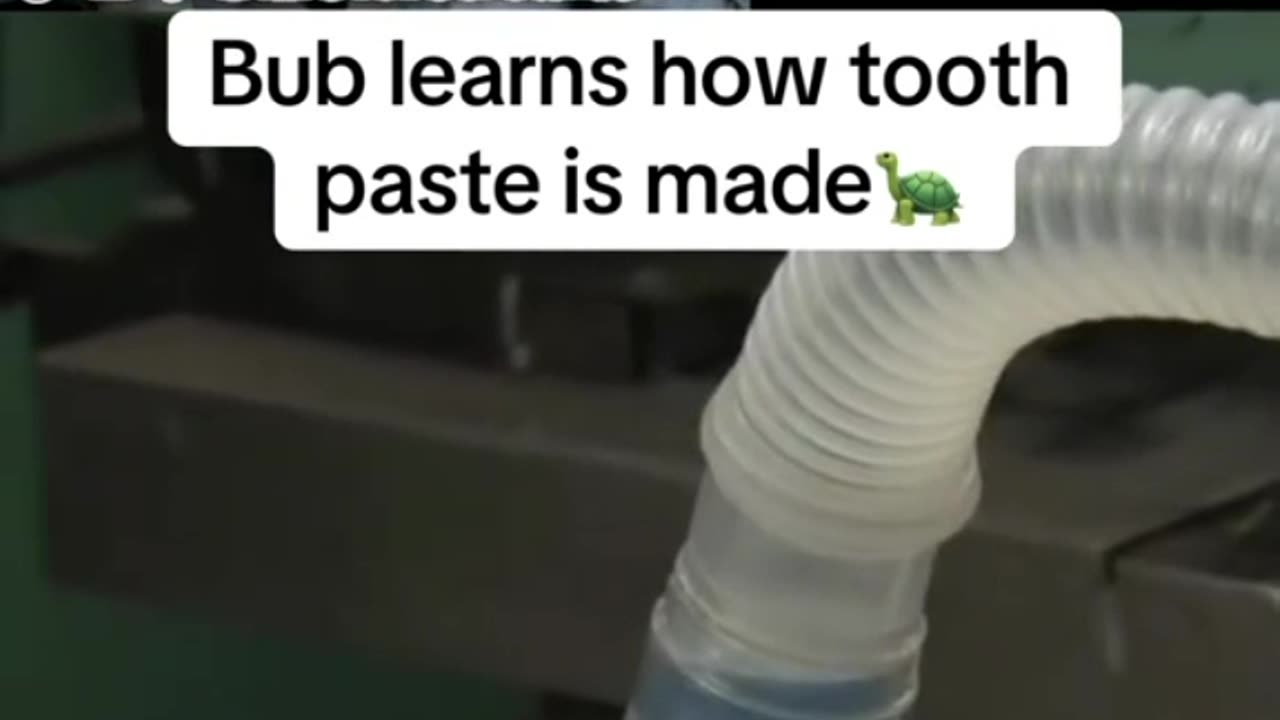 Bob learns how toothpaste is made