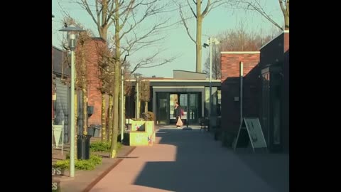 An incredible fake neighborhood