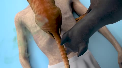 Do Pets Eat Their Owners 🤔