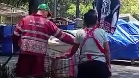 Captan a vendedora hirviendo elotes con agua de riego en CDMX