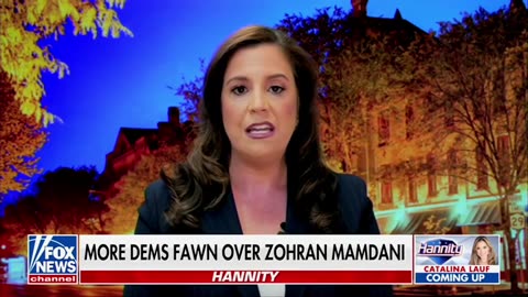 Rep Elise Stefanik: This Is How Radical Today's Dem Party Is