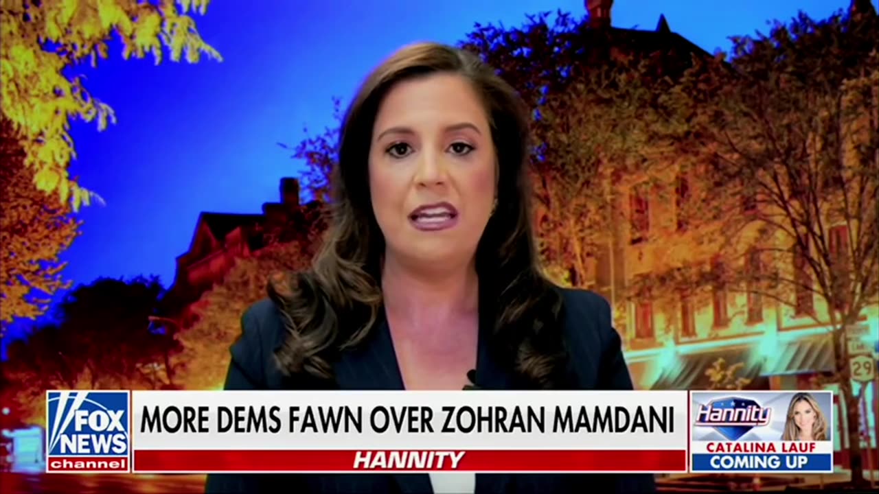 Rep Elise Stefanik: This Is How Radical Today's Dem Party Is