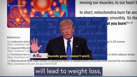 Why Mitolyn is Different: Stimulant-Free Mitochondrial Support Explained