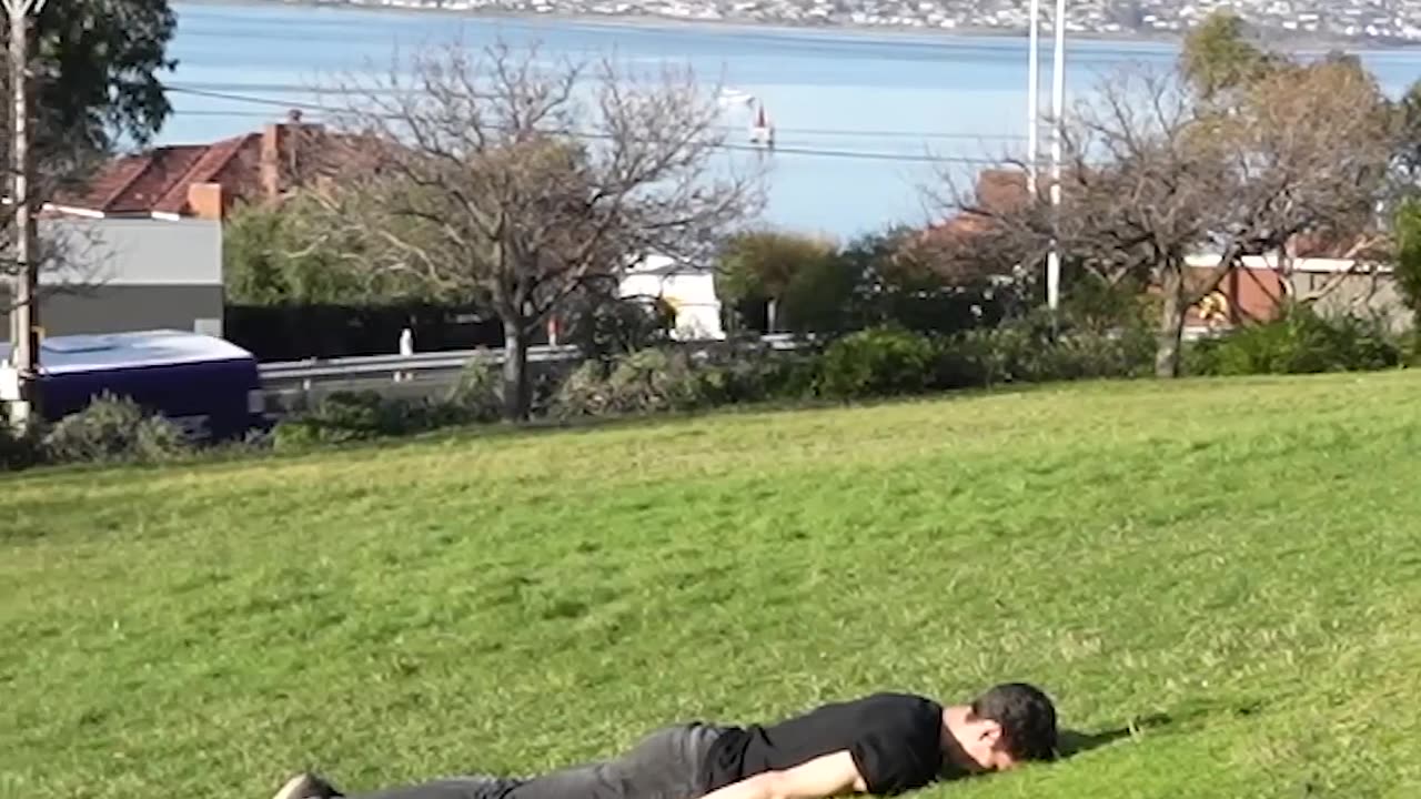 How animals get over a fence? 😂