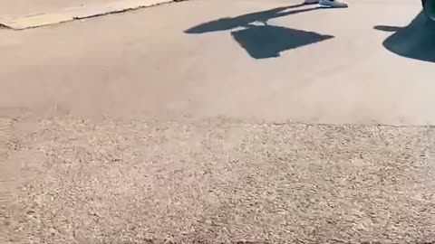 ✨🏎️ Rate This Car 1-10! | LuxurySportsCars