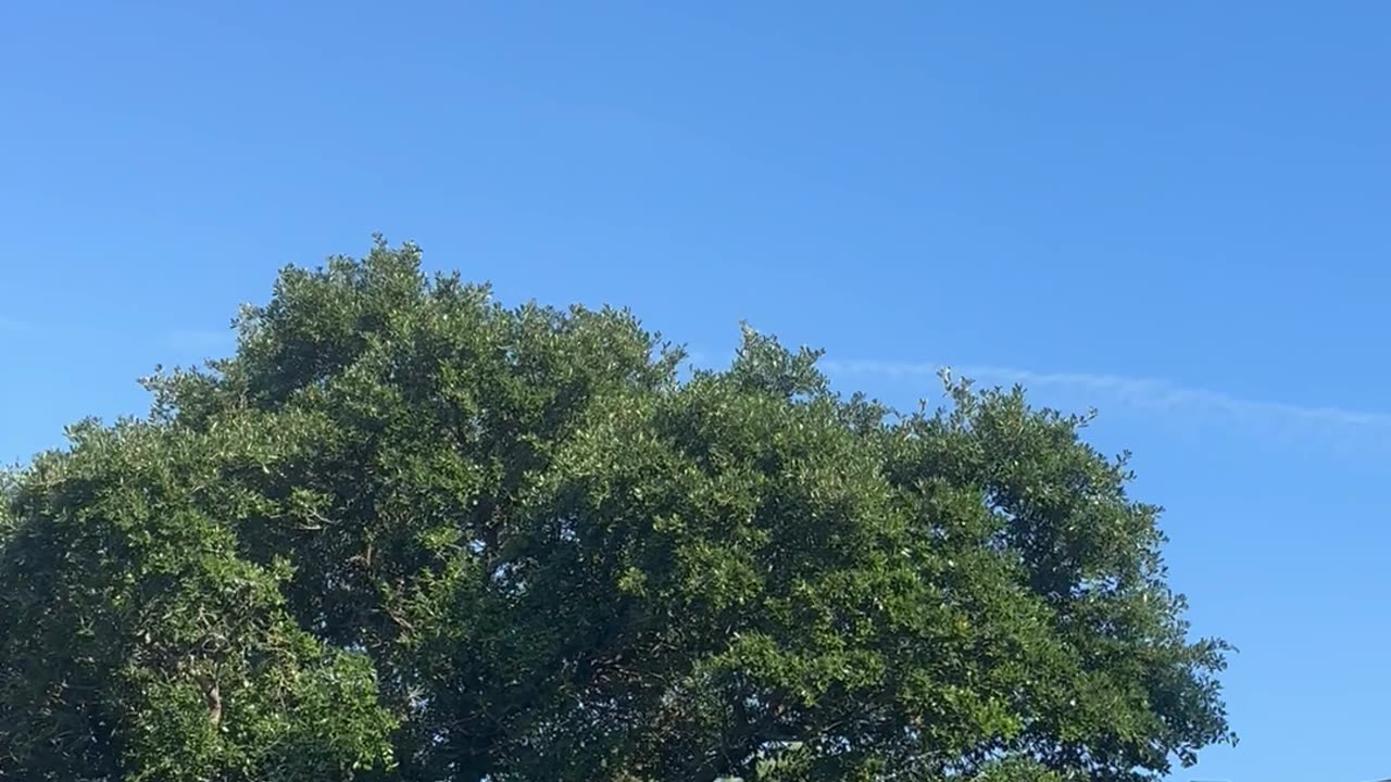 No end in site! Killers loose!