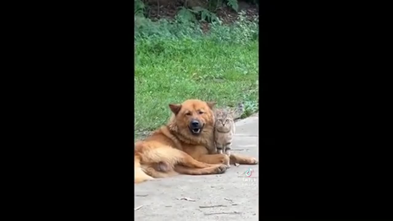 Need a laugh here and there ;)